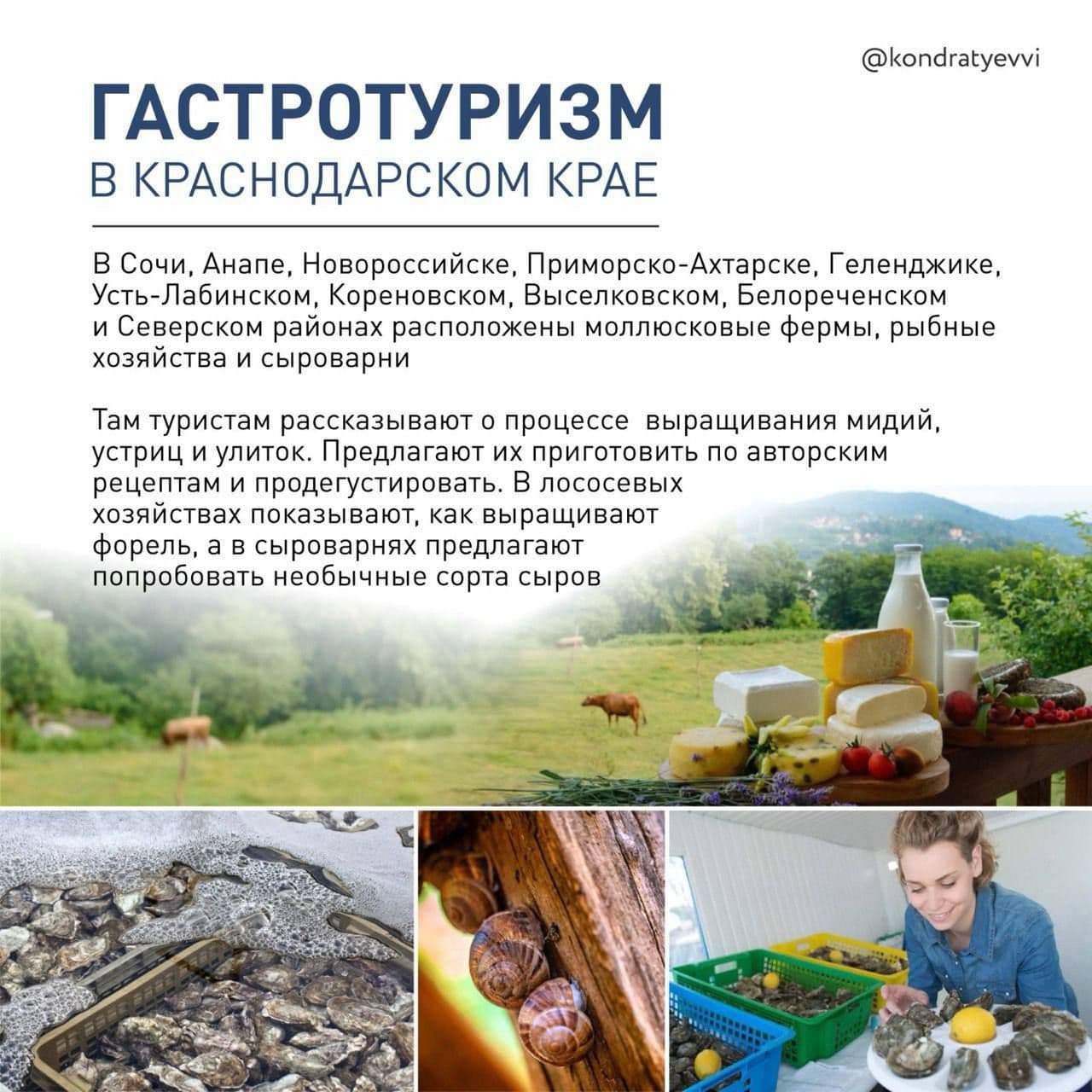 «Туризм на Кубани: разнообразие отдыха и гордость за виноделие»