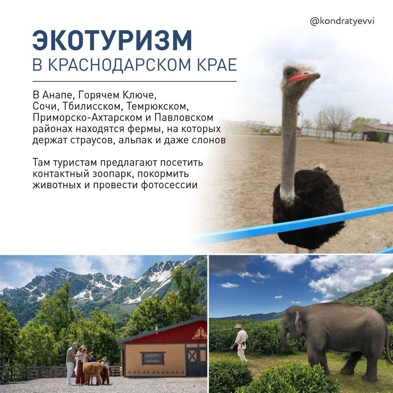 «Туризм на Кубани: разнообразие отдыха и гордость за виноделие»
