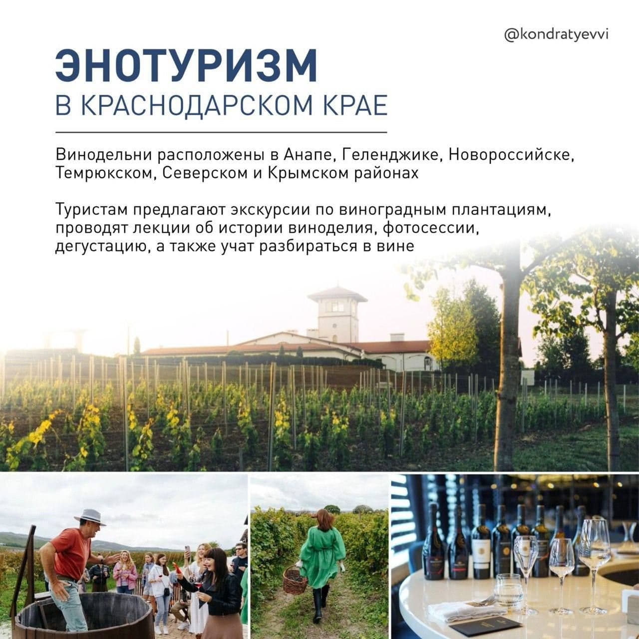 «Туризм на Кубани: разнообразие отдыха и гордость за виноделие»