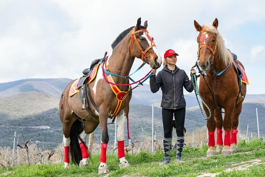 ЦЕНТР КОННОГО ТУРИЗМА!🐎 Праздничное открытие!