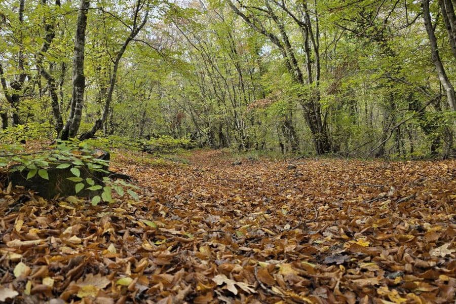 По склону горы Амзай