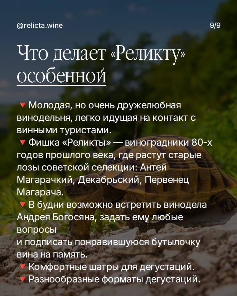 «Реликта» в 2026 году