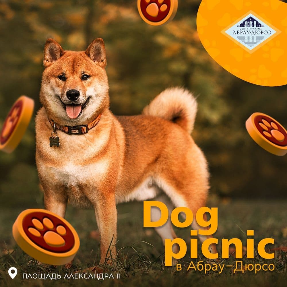 Dog Picnic в Абрау-Дюрсо