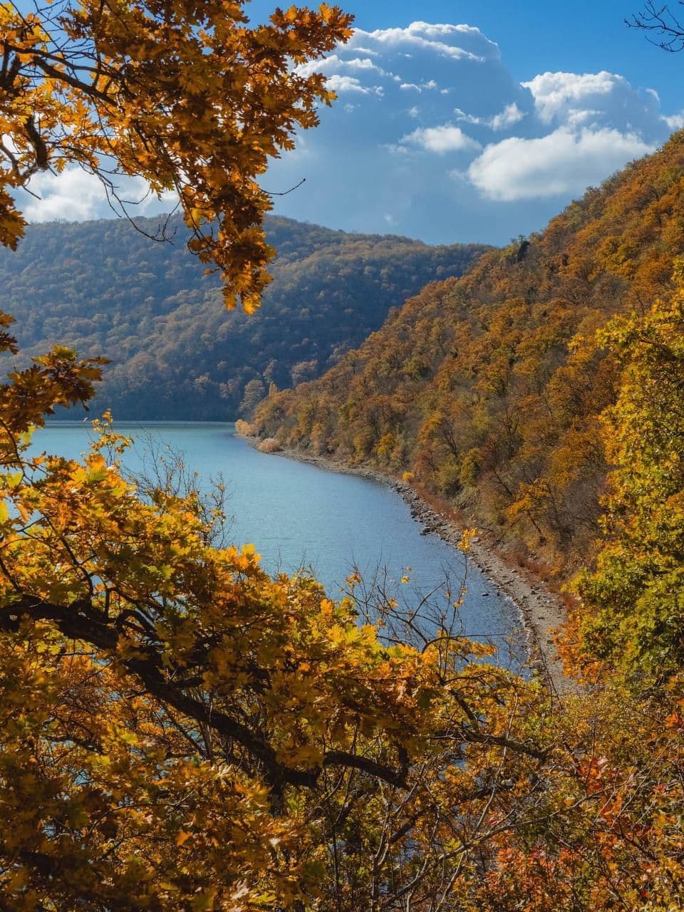 Осенние краски экотропы в Абрау-Дюрсо