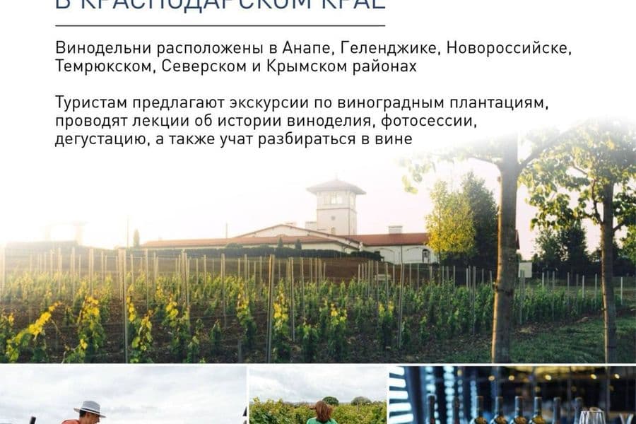 «Туризм на Кубани: разнообразие отдыха и гордость за виноделие»