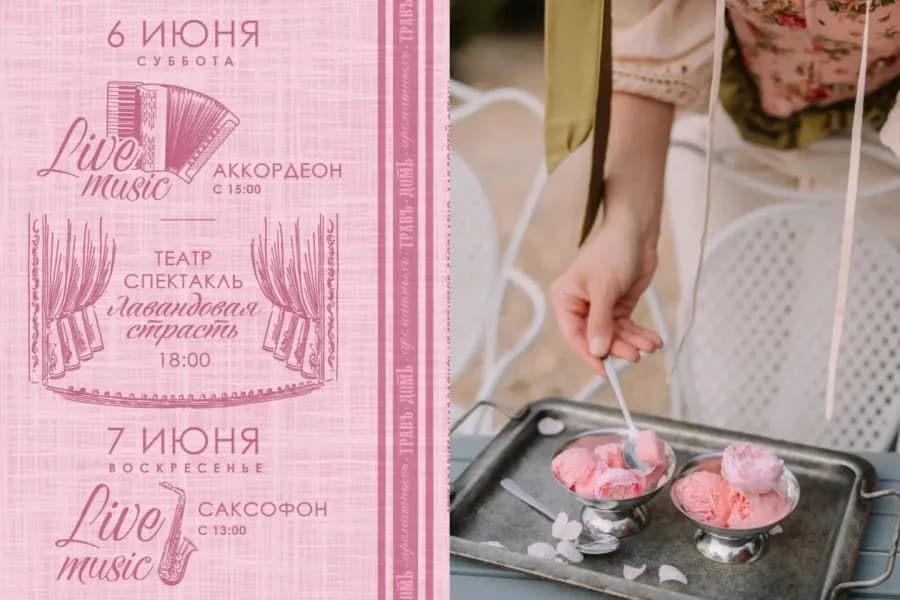 В пик цветения Дамасской розы будет розово вкусно и музыкально ! 🌹🎶🌸