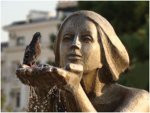 Дающая воду