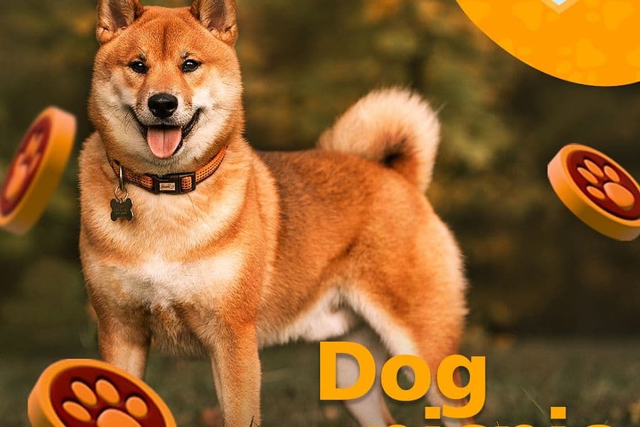 Dog Picnic в Абрау-Дюрсо