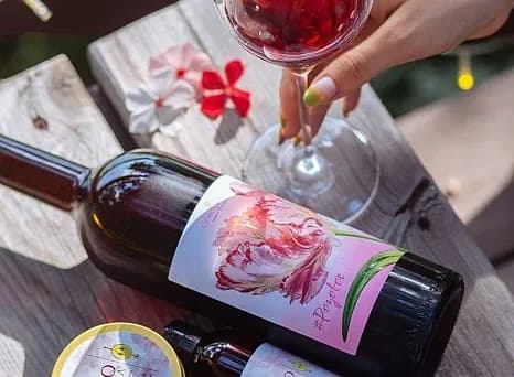 LIFAR WINES WINERY