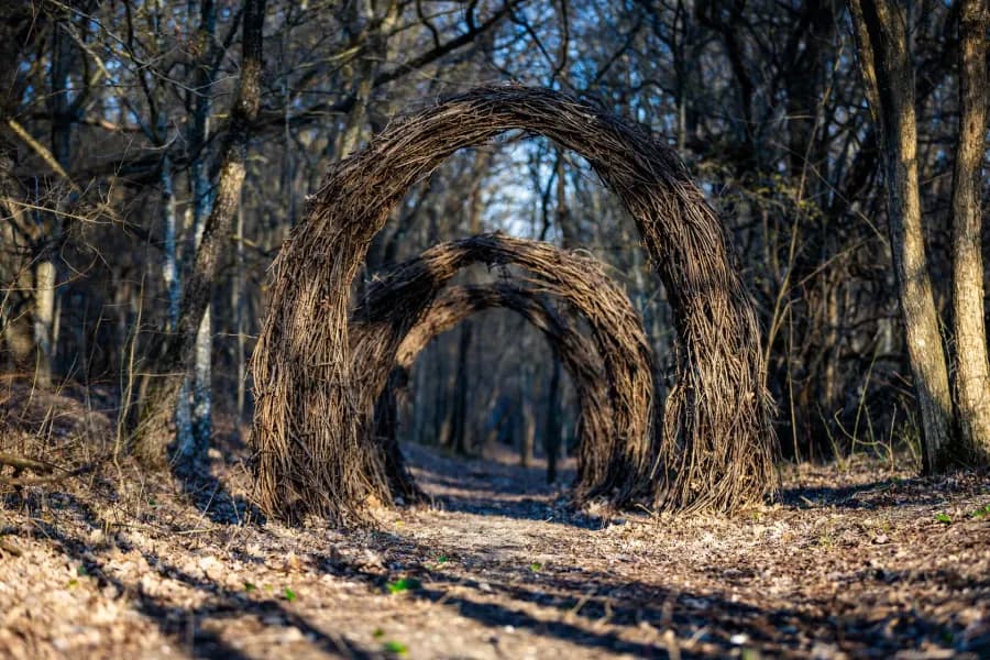 Знакомство с Park Home